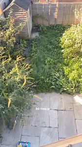 When I started sharing my garden on social media, I did it because I am obsessed, but now nearly two years later what I am most proud of is when someone says, they saw a video and it made them have a go at growing something. Ironically making posts about my garden takes far more time than actually creating and tending to it. But it is worth it, to think that it might get someone else to have a go. When people hear the word ‘gardening’ I think they think of something stale and boring and full of 