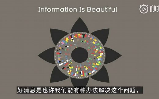 TED演讲丨David McCandless数据可视化之美