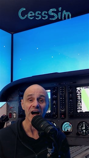 ⚡️Fun Aspect of Flight Simming - Learning⚡️