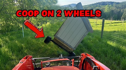 The Wrong Way to Move a Chicken Coop Explained