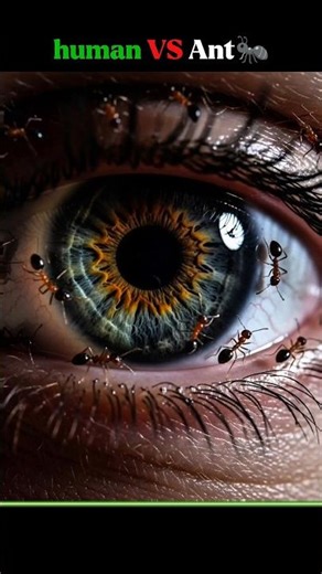 Human VS Ant 🐜 #facts #trending #shorts #human #ants