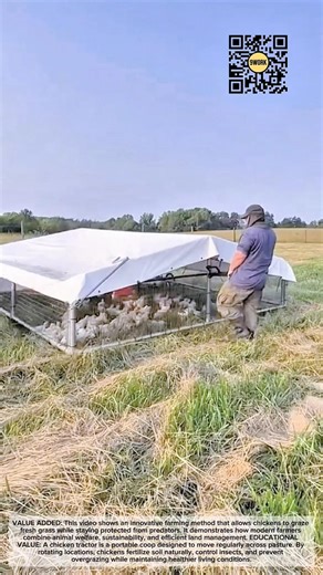 Mobile Chicken Tractor | Smart Free-Range Farming System #9work