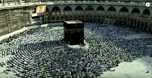 Millions of flying cockroaches infest Great Mosque in Mecca (video) - ProtoThema English