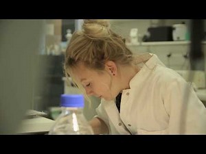 Wie funktioniert Medizininformatik?