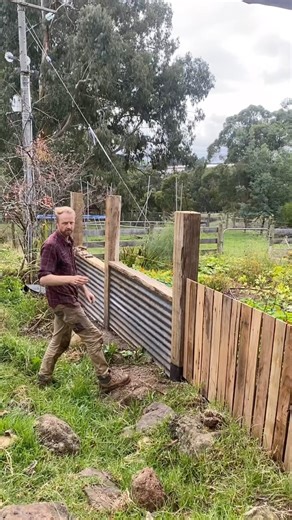 Rhizome creeping grasses, labeled Devil Grass by Ruth Stout, are the bane of many gardeners. These grasses propagate through underground stems called rhizomes, enabling them to rapidly colonize new areas, especially cultivated spaces. Once established, rhizome creeping grasses compete with desired plants for nutrients, water, and sunlight, often outcompeting them and smothering their growth. Their extensive root systems make them difficult to eradicate, as even small root fragments can regrow in