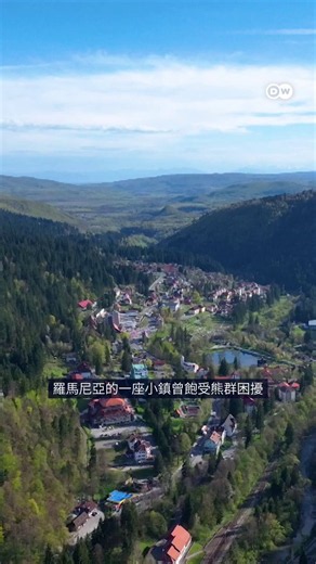 喀尔巴阡山脉中的一座旅游小镇伯伊莱图什纳德（Băile Tușnad）曾饱受饥饿熊群的侵扰，但最终找到了与熊共存之道。当初究竟出了什么问题？当地人又是如何恢复生态平衡的？#DWEnvironment