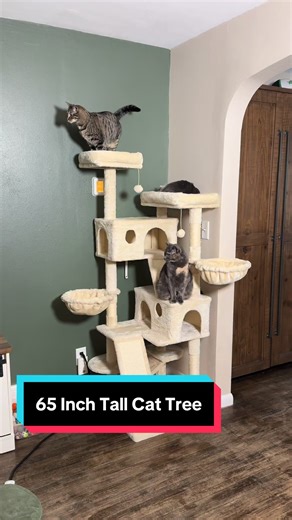 65 Inch Tall Cat Tree for Happy Cats