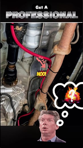 What in the coyote ugly. #caraudiosystem