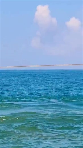 big ship pulling by tug boat Manuovering | Elham Pourgol