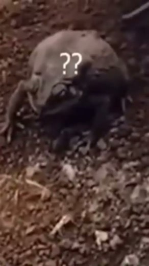 Bro Got Evicted!#funny #memes #shorts #laugh #laughoutloud #memeshorts #fyp #fypviralシ #ytshorts #yt