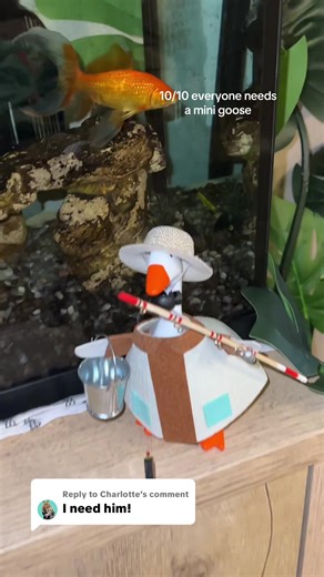 Why You Need a Desk Goose: The Perfect Home Companion