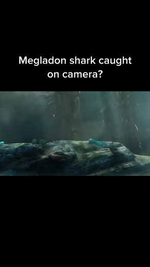 Mysterious Discovery in Mariana Trench