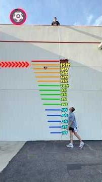 Which Ball Bounces the Highest?