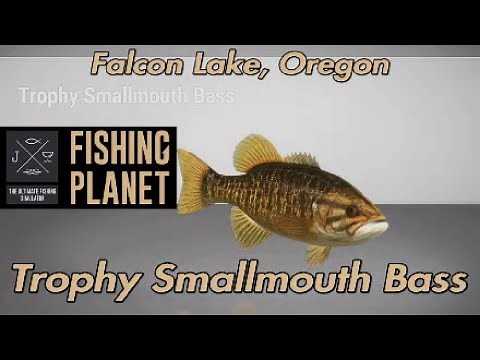 Trophy Smallmouth Bass Falcon Lake Oregon Fishing Planet Guide