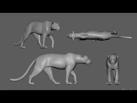 Leopard Walk Cycle Animation - MAYA 2023
