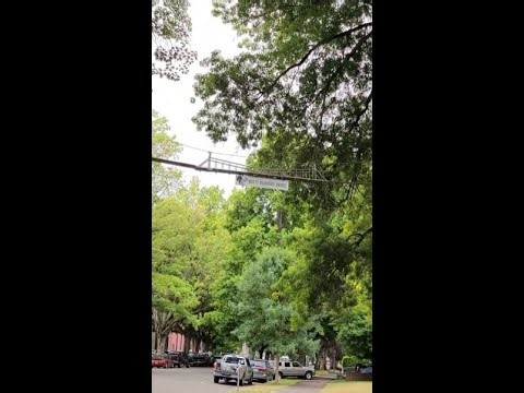 Seven Squirrel Bridges in Longview Washington The Nutty Narrows Bridge