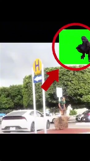 Videos de fnaf_poppy_platime (@fnf_freddy4) con “Atmosphere Fog and Landing - Gati Barreto”