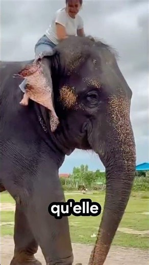 🐘 This elephant is smarter than you think! #animals #elephants #nature