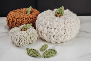 Quick and Easy Leaf - Free Crochet Pattern - The Turtle Trunk