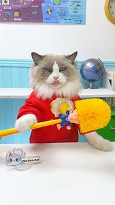 ✨🔮 Puff's unleashing magic hacks! See tricks turn to treats in Puff's mystical world. #MagicPuff #HacksUnleashed | That Little Puff