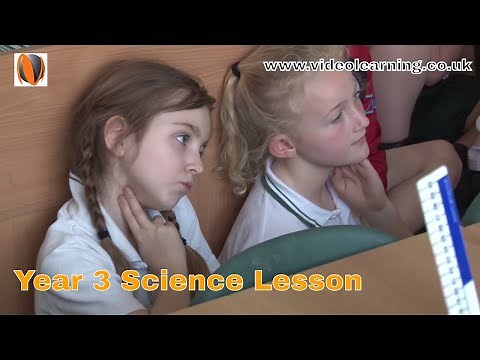 Year 3 KS2 Science Classroom Observation: Healthy Bodies