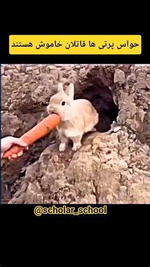#موفقیت#motivation#success ##کنکور#مدرسه#دانشگاه#animals #selfimprovement#سینما#فیلم#ورزش#حیوانات