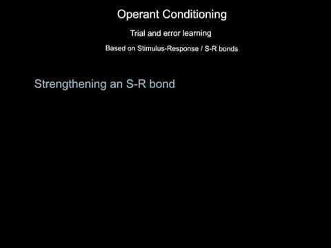 Operant Conditioning