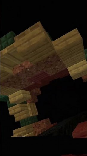 Vogel Rok in World of Wonders #efteling #onride #minecraft #shorts #gaming