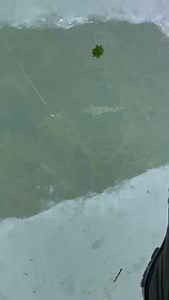 790K views · 1.1K reactions | Fish weren’t hungry today ￼. Not many either | McGathy's Slab Grabbers | Facebook