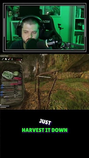 Best Tip for New Green Hell Players
