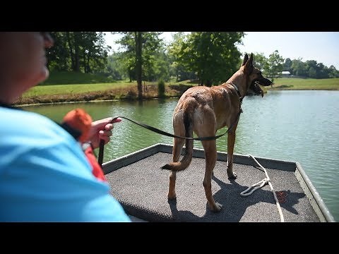K9 Water Search and Rescue