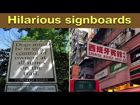 These Funny Signs Are Too Good to Be True – Don’t Miss Out! ||Happy Dog's