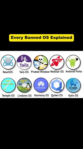 Every Banned Operating System Explained Security Privacy and Politics #banned #os #piratedwindows #techtok #didyouknowthis