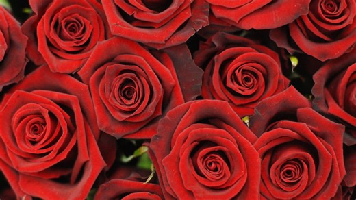 Fans Pour in Support for Bachelor Favorite After a Candid Confession on Instagram