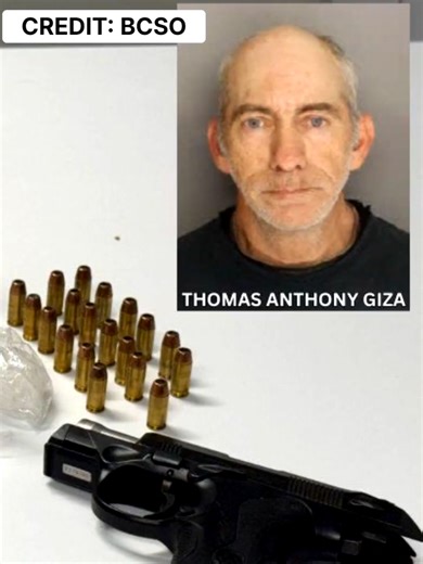 🚔💊 Traffic stop leads to major drug bust in Berkeley County A Pineville traffic stop turned into a serious arrest after deputies say they found meth, ecstasy, and a loaded handgun inside a vehicle. K9 Gery helped alert deputies to the drugs during the stop 🐕‍🦺 The suspect now faces multiple trafficking and weapons charges. 👀 Authorities say this is part of ongoing efforts to crack down on drugs in our community. 👉 What are your thoughts on this case, Berkeley County? Sound off below ⬇️ #Be