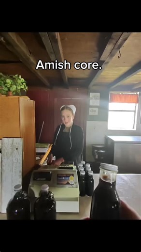 POV: you came for one Amish video and now you’re deep in my lore 🫢 #amish #amishcountry #lancaster #lancasterpa #farmmarket
