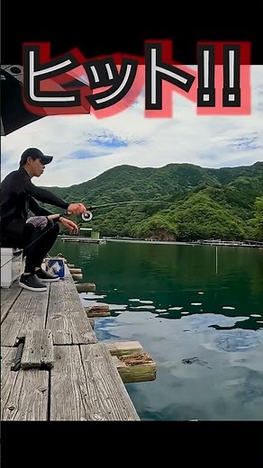 静寂に包まれながらチヌを狙う 三重県 誠久丸 #fishing