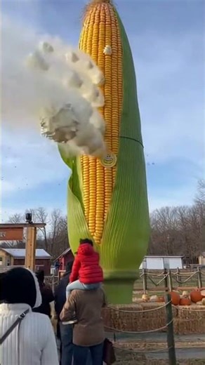 They Built a GIANT Corn Cob… and It’s Actually Insane 🌽😳 #shorts