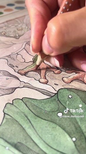 Captivating Tree Frog Illustration Process
