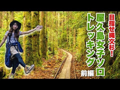 Walk on a World Heritage island in Japan aiming for a giant tree that is 7,000 years old