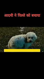 75K views · 597 reactions | Cinema Decode on Reels | Facebook