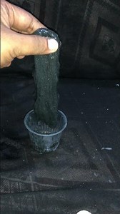 Making MAGNETIC SLIME at Home! 🧲😱 DIY Slime Kit #imalidotcom