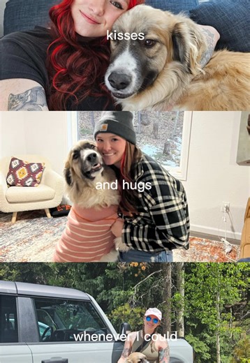 Bubbles forever ♥️ #dogsoftiktok | dogs