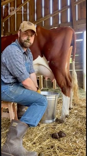 If you don’t show respect and fart, you’ll get cow poop in your face. 💨🤣