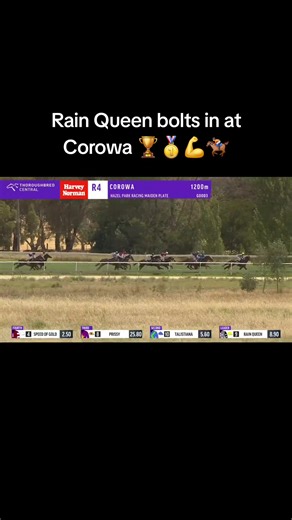 Bringing up win 22 of 2025 and putting an exclamation mark on what has been a wonderful year for the stable, RAIN QUEEN was taken to the front by Jason Lyon and was never headed, powering to a dominant victory in the 1200m Maiden Plate at Corowa Race Club. A well-overdue win for connections, it was a great feeling to see the 4YO Manhattan Rain mare showcase her potential. Congratulations T D Naughtin, Boys from the Border (Mgr: G K Edgar), B G Naughtin, A D Ollington, J Ceglar, S P McKenna, L A 