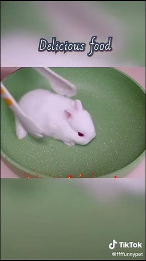 How to cook a bunny