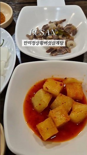 사상에서 찾은 인생 몸보신 맛집! 국물부터 남다른 상황버섯삼계탕 🍲 #사상맛집 #부산삼계탕 #몸보신