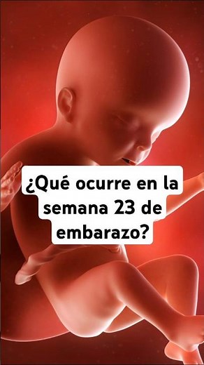 🤔 What happens in week 23 of pregnancy? 🤰 Symptoms and baby development