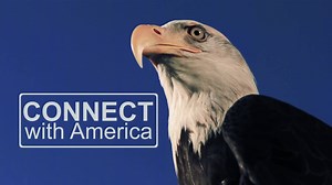 Looking to get away? Then look no further! Get the complete visitors guide and discover all of the best museums, music, art, outdoor activities, shopping and nightlife that Fairfax County has to offer. Get your inside scoop on the best food, drink and activities in this 60-page guide, completely free! | Visit Fairfax