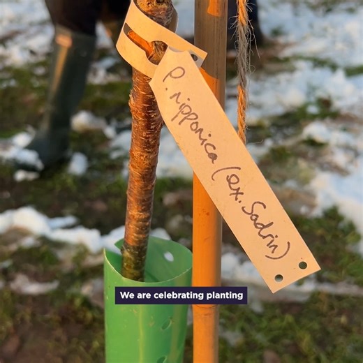 2.8K views · 36 reactions | Our nationally renowned collection of...